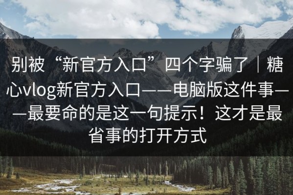 别被“新官方入口”四个字骗了｜糖心vlog新官方入口——电脑版这件事——最要命的是这一句提示！这才是最省事的打开方式