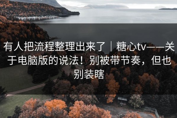 有人把流程整理出来了｜糖心tv——关于电脑版的说法！别被带节奏，但也别装瞎