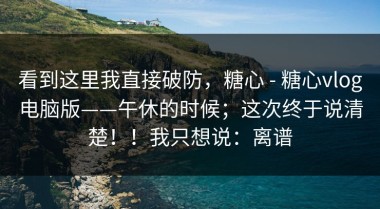 看到这里我直接破防，糖心 - 糖心vlog电脑版——午休的时候；这次终于说清楚！！我只想说：离谱