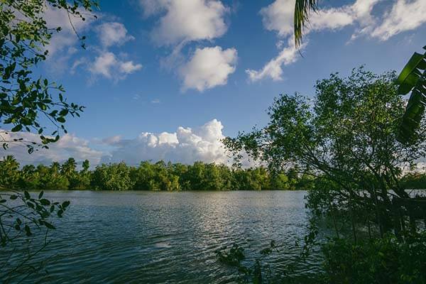 被忽视的细节来了｜一起草 ｜ 常见误区这件事 ｜ 越往下越离谱。这就是为什么你总是进不去