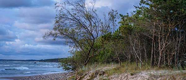 你以为的官网未必是 ｜ 糖心vlog在线教学：糖心视频；在线教学这件事 ｜ 最要命的是这一句提示？这就是为什么你总是进不去